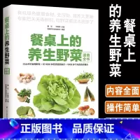 [正版]餐桌上的养生野菜速查全书家常菜谱健康养生野菜识别采摘指南分布形态特征食用方法药用功效大全田间野菜营养搭配百科图鉴