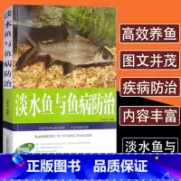 [正版]淡水鱼与鱼病防治生态养鱼技术教程鱼病快速鉴别诊断与治疗全书科学饲养鱼书籍技术大全一本通娃娃鱼淡水鱼类水产养殖饲料