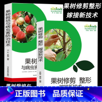 [正版]果树修剪、嫁接栽培与病虫害防治新技术苹果梨葡萄杏桃李樱桃果园规划果树发展概况分类及概况定植栽培技术概述常