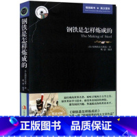 [正版] 钢铁是怎样炼成的 英文版+中文版 中英文对照经典世界名著 英汉对照双译英文小说 英文版双语版初高中学生大学生课