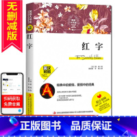 [正版]英语大书虫红字 中英文对照书籍双语读物 世界经典名译典藏书系 初中生课外阅读书籍名著中学生*读 小说经典书籍文学