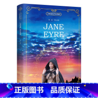 [正版]英文原版小说简爱 Jane Eyre 全英文版 国外经典文学 英文原版 小说英语 阅读书籍 英文读物书 世界经典