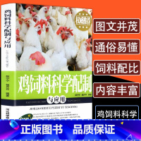[正版]鸡饲料科学配制与应用养殖技术大全实用书籍一本通鸡病鉴别诊断图谱治疗全书畜牧兽医专业书籍蛋鸡肉鸡高效养殖饲料配方教