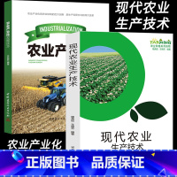 [正版]现代农业生产技术产业化发展现代蔬菜粮谷果品农业储藏技术稻谷小麦种植加工创新生产经营方式变革发展概论农地流转财政农