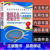 [正版]池塘养鱼与鱼病防治科学养鱼技术大全书籍一本通淡水鱼类鳜鱼繁殖水产养殖生态养鱼技术教程娃娃鱼鲤鱼喂养技巧饲料配方大