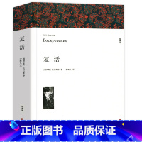 复活[完整版] [正版]上下2册无删减 大卫科波菲尔 原著完整版宋兆霖翻译 高中阅读课外阅读书籍全套 高中生高一语文课外