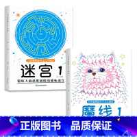 [全套2册]魔线①+迷宫① [正版] 魔线专注力训练左右脑开发思维训练书走迷宫书籍幼儿园小学生2-3一6-7-8-10岁
