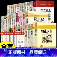 [配套人教版]7-9年级名著全套36册 [正版]全套12册 初中必读名著十二本朝花夕拾鲁迅原著西游记海底两万里和骆驼祥子