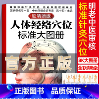 [正版] 人体经络穴位标准大图册清晰图 中医按摩经络穴位书籍 经络穴位按摩大全养生书大全人体经络穴位图解书人体穴位图解