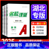 英语[人教版] 九年级下 [正版]湖北专版2025春七八九年级语文数学英语物理生物化学上下册初一二三初中小四门同步练习册