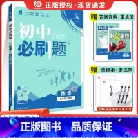 [人教版]数学 九年级上 [正版]2025版初中九年级上册下册数学RJ人教版初三9九上九下数学同步训练习题复习资料中考模