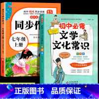[2册]七上同步作文+文学常识 七年级/初中一年级 [正版]七年级上册同步作文人教版七年级下册语文同步作文 初中语文初一