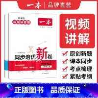 [套装2册]语文+数学 人教版 一年级上 [正版]2024同步培优试新卷小学数学上册人教 一二三四五六年级上册测试卷 小