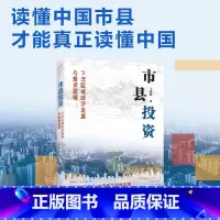 [正版] 市县投资:下沉区域经济发展与投资逻辑 于智超 著上海远东出版社