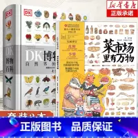 [套装2本]菜市场里有万物+DK博物大百科(精) [正版]菜市场里有万物 精装大开本 24个菜市场的环球之旅姐妹篇彩绘版