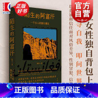 [普通本]陌生的阿富汗 [正版]2024豆瓣年度书单陌生的阿富汗 一个女人的独行漫记 班卓上海人民世纪文景当代文学游记书