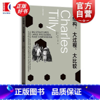 大结构、大过程、大比较 [正版]大结构大过程大比较 蒂利作品集 查尔斯蒂利著格致出版社社会变迁理论著作科学比较方法政治社