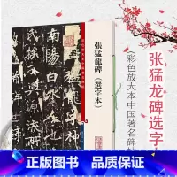 [正版]张猛龙碑选字本 彩色放大本中国著名碑帖孙宝文编上海辞书出版社 书法篆刻碑帖鉴赏毛笔字练习临摹字帖