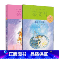 小鬼鲁智胜+小丫林晓梅 / 贾里贾梅大系 [正版]贾里贾梅大系 秦文君 小鬼鲁智胜+小丫林晓梅 6-12-15岁金色童