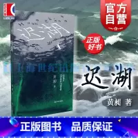 迟湖 [正版]迟湖 黄昶短篇小说集上海文艺出版社真金青年文学写作总冠军作品集中国当代文学图书籍 苏童张定浩杨庆祥张菁
