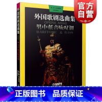 [正版]外国歌剧选曲集 男中低音咏叹调 男中音歌剧咏叹调和男低音歌剧咏叹调稿本为基础 声乐教学 曲目创作 中文歌词 上