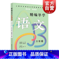 [正版]精编导学ABC.语文六年级 陈国强周周练段段清文本知识典型例题答案认知规律夯实基础 上海远东出版社