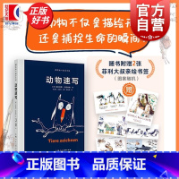跟菲利大叔学手绘:动物速写 [正版]动物速写 跟菲利大叔学手绘德菲利克斯沙因伯格上海人民美术出版社素描绘画基础艺术水彩动