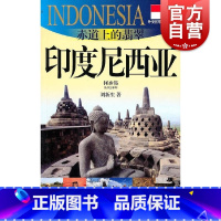 [正版]赤道上的翡翠印度尼西亚 外交官带你看世界东南亚历史风景文化介绍 上海文艺出版社