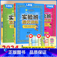 4上[苏教版·套装3册]语数英 小学通用 [正版]2024新版春雨实验班提优训练小学一二三四五六年级上下册语文数学英语全