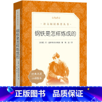 [正版]钢铁是怎样炼成的(《语文》阅读丛书)人民文学出版社