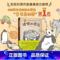[正版]遗憾的进化 今泉忠明 3-4-5-6岁儿童动物科普绘本启蒙认知宝宝睡前故事熊猫绘本幼儿园老师阅读可爱生物图画书
