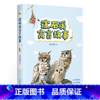 小熊温尼菩 [正版]沈石溪寓言故事 沈石溪