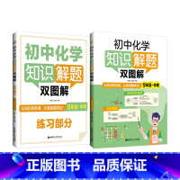化学 九年级 [正版]初中化学知识解题双图解.9年级+中考(全2册)