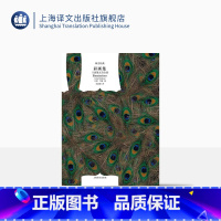 [正版]彩画集(兰波散文诗全集) [法]兰波著 王道乾译 译文经典 十九末法国生活风情 诗人对世间的挑战 上海译文出版