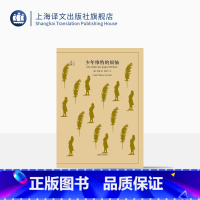 [正版]少年维特的烦恼 译文40系列 歌德著 侯浚吉译 全译本中文版 世界文学名著小说书籍 外国文学名著读物 上海译文