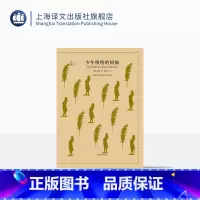 [正版]少年维特的烦恼 译文40系列 歌德著 侯浚吉译 全译本中文版 世界文学名著小说书籍 外国文学名著读物 上海译文