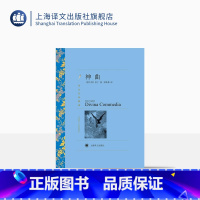 单本全册 [正版]神曲 但丁著 朱维基译 译文名著精选 世界名著 意大利文学小说书籍 名著经典读物 中古文化 上海译文出