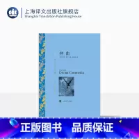 单本全册 [正版]神曲 但丁著 朱维基译 译文名著精选 世界名著 意大利文学小说书籍 名著经典读物 中古文化 上海译文出