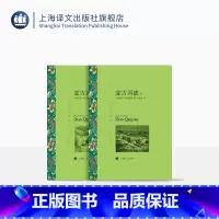 [正版]堂吉诃德 西塞万提斯著 孙家孟译 译文名著精选 西班牙 中世纪 长篇小说 世界名著 上海译文出版社