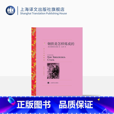 [正版]钢铁是怎样炼成的 译文名著精选 [俄]奥斯特洛夫斯基 著 王志冲 译 中学生必读书目 人的一生应该这样度过 上