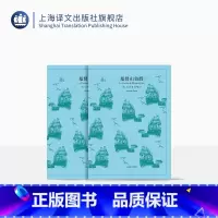 全套 [正版]基督山伯爵上下册/译文40系列(法)大仲马著 韩沪麟译 外国文学 外国世界名著文学小说作品集 小说