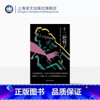 [正版]十二把椅子 [苏联]伊里夫、彼得罗夫 著 白桦熊 译 讽刺小说 独木舟译丛 全新译本 上海译文出版社