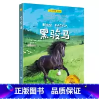 单本全册 [正版]黑骏马[英]安娜·塞维尔 夏洛书屋·经典版 方晓青 以一匹马的视角洞察人间百态 动物自传文学开山之作
