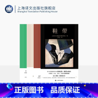 斯塔尔诺内作品四种 [正版]斯塔尔诺内作品四种 鞋带 玩笑 坦白 米兰女孩 [意大利]多梅尼科·斯塔尔诺内 著 上海译文