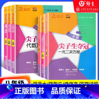 套装全6册 [正版]交大之星 尖子生夺冠 四边形+直角三角形+二次根式+一元二次方程+代数方程+一次函数反比例函数 八8