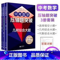 [3本]几何综合大题+选择填空压轴小题+坐标系内的几何代数综合大题 初中通用 [正版]18招破解初中数学代数几何综合题中