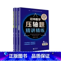 [7~9年级共3册]初中数学压轴题精讲精练 初中通用 [正版]初中中考数学压轴题精讲精练突破阅读探究新定初中数学压轴题7