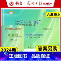 [数学]单元测试+堂堂练 六年级上 [正版]2024初中数学单元测试堂堂练六年级上册6年级第一学期 上海初中数学单元测试