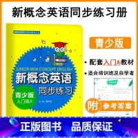 [正版]新概念英语同步练习青少版入门级A 新概念英语青少版入门级a同步练习 新概念英语入门级a同步练习 廖怀宝 同济大