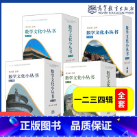 全四辑 数学文化小丛书 [正版]全40册 李大潜数学文化小丛书一二三四1234辑盒装高等教育出版社数学文化小读本中学生数